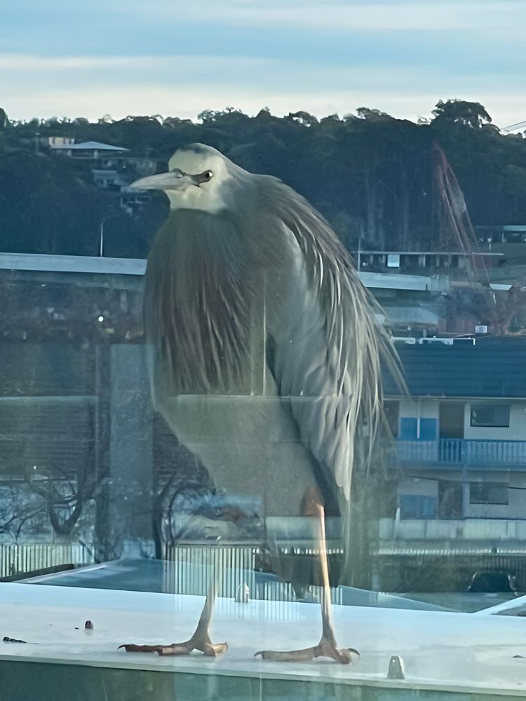 image-20230803150430-16