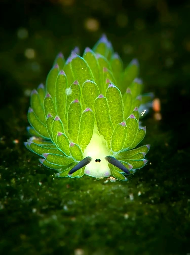 image-20230803173530-9