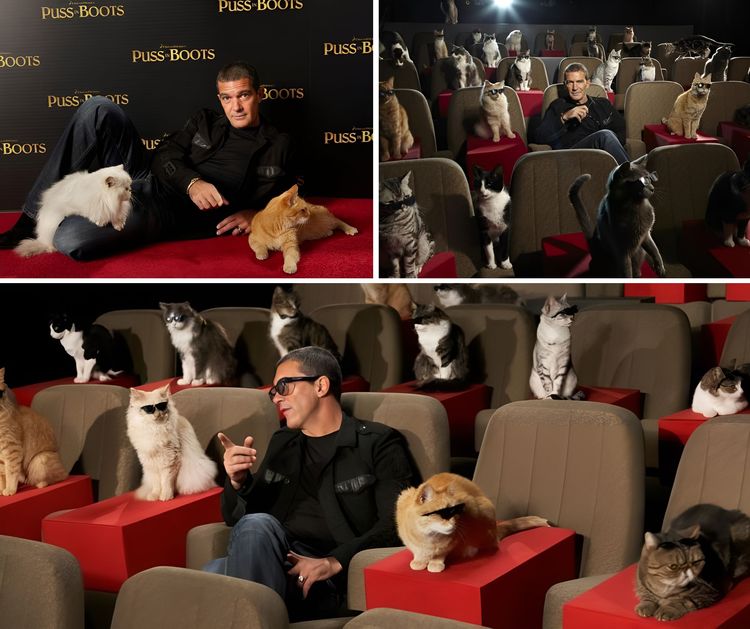 image-20230803173556-13