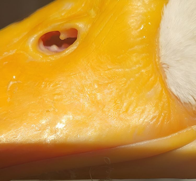 image-20230803173601-14