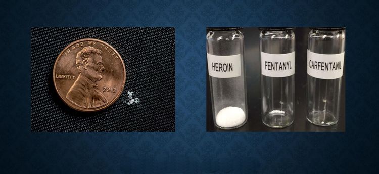 image-20230803173604-15