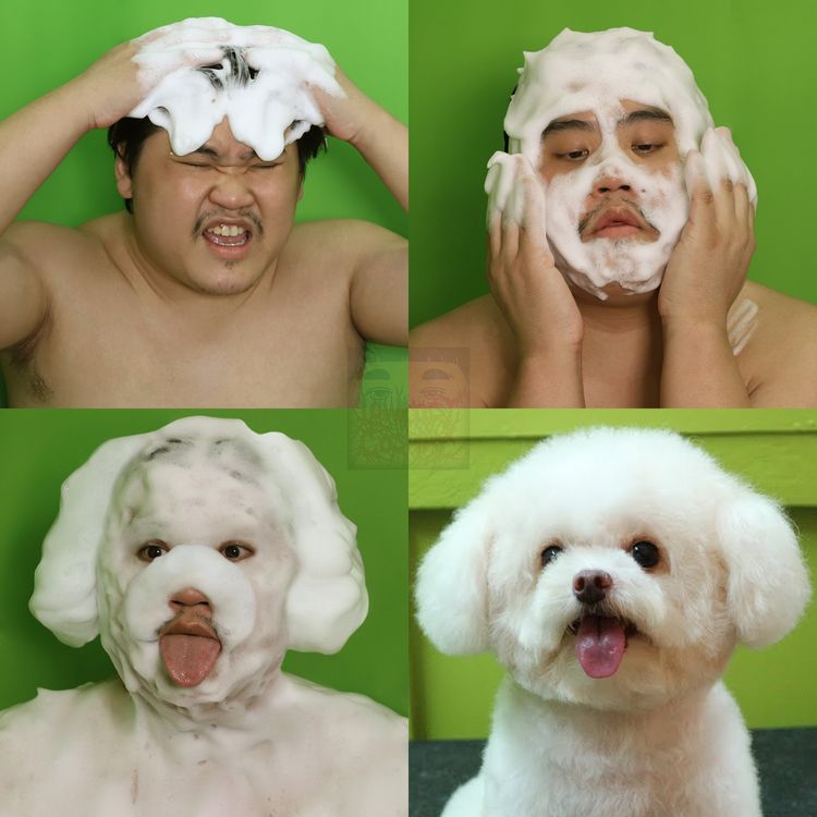 image-20230804112726-4