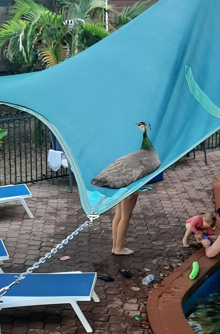 image-20230804121924-1