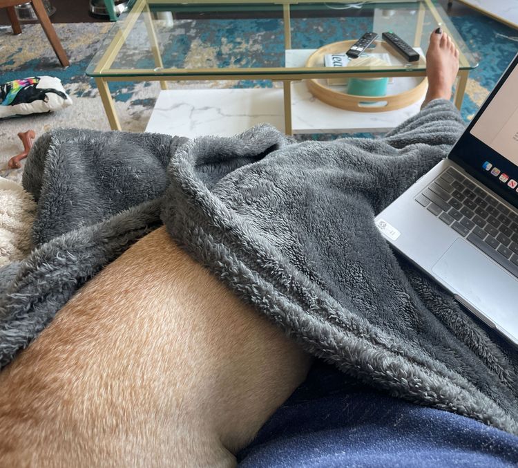 image-20230804121943-6