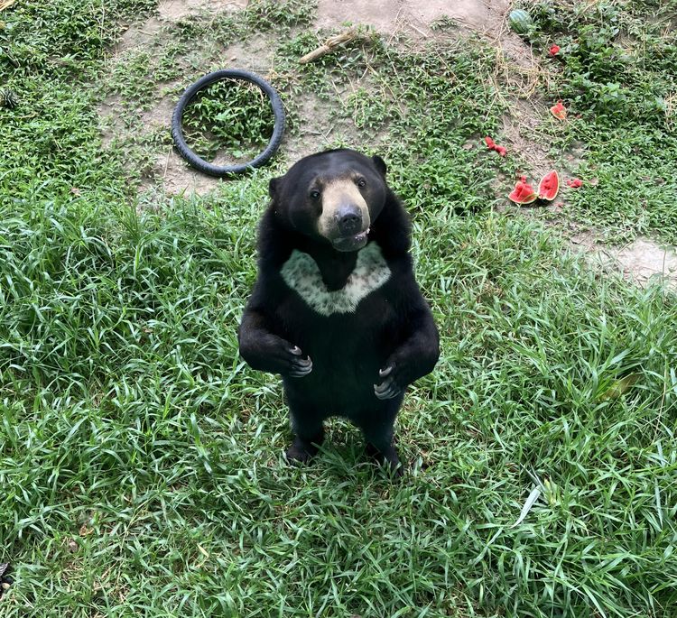 image-20230804121946-7