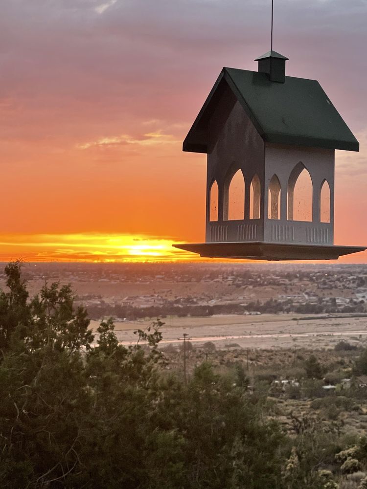 image-20230804121953-9