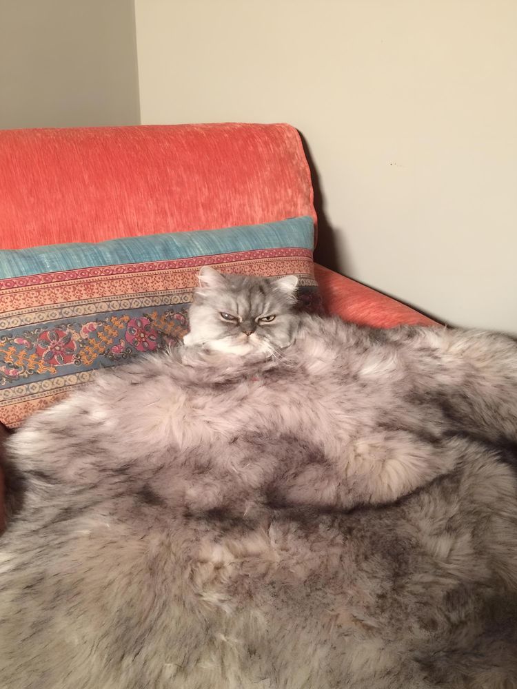 image-20230804121956-10