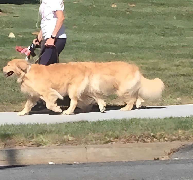 image-20230804121959-11