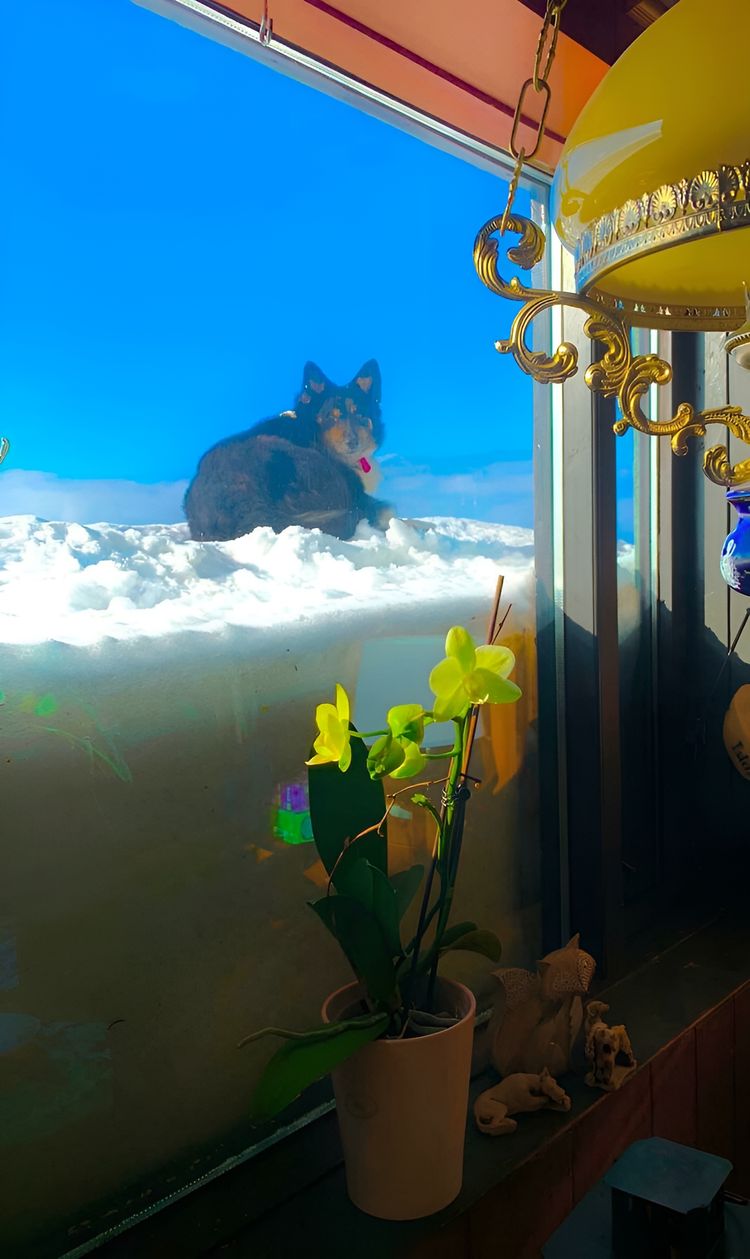 image-20230804122005-13