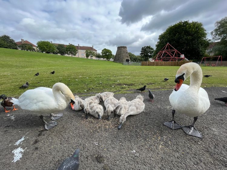 image-20230804173410-4