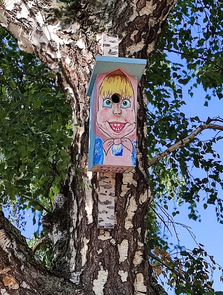 image-20230807133504-2