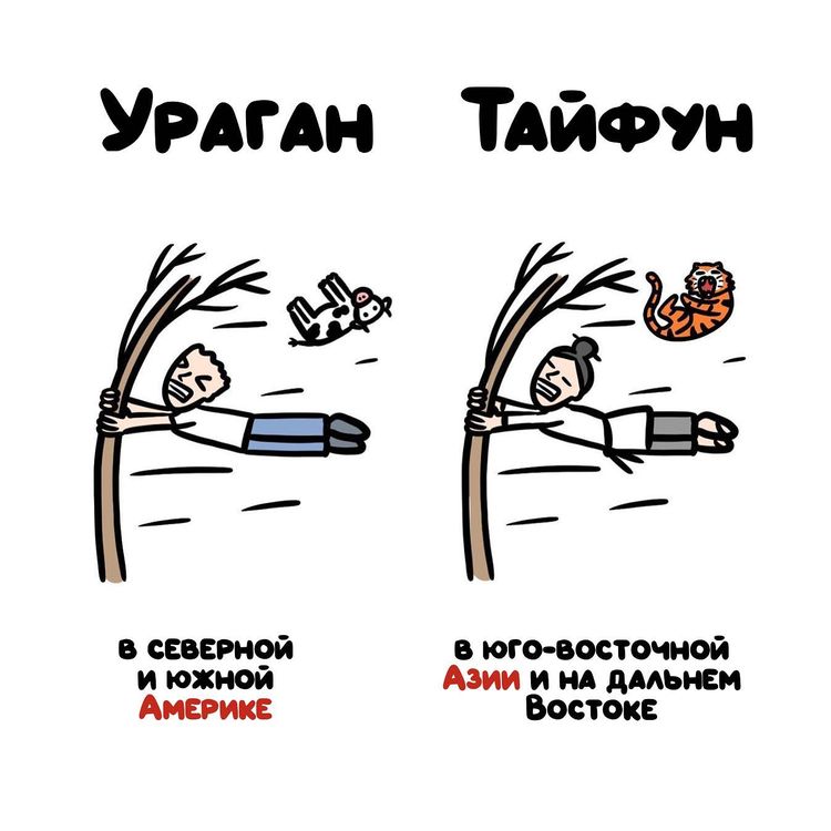 image-20230808115718-7