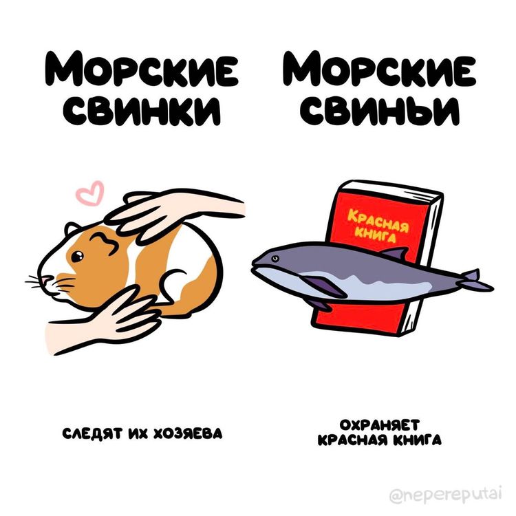 image-20230808115751-18