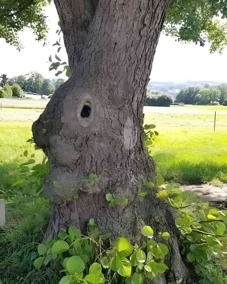 image-20230809133956-2