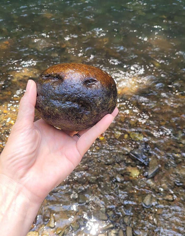 image-20230809133958-3