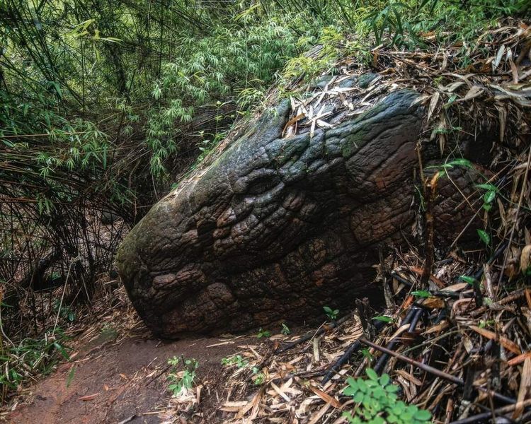 image-20230809134343-9