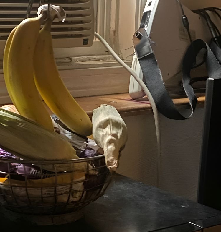 image-20230809134357-14