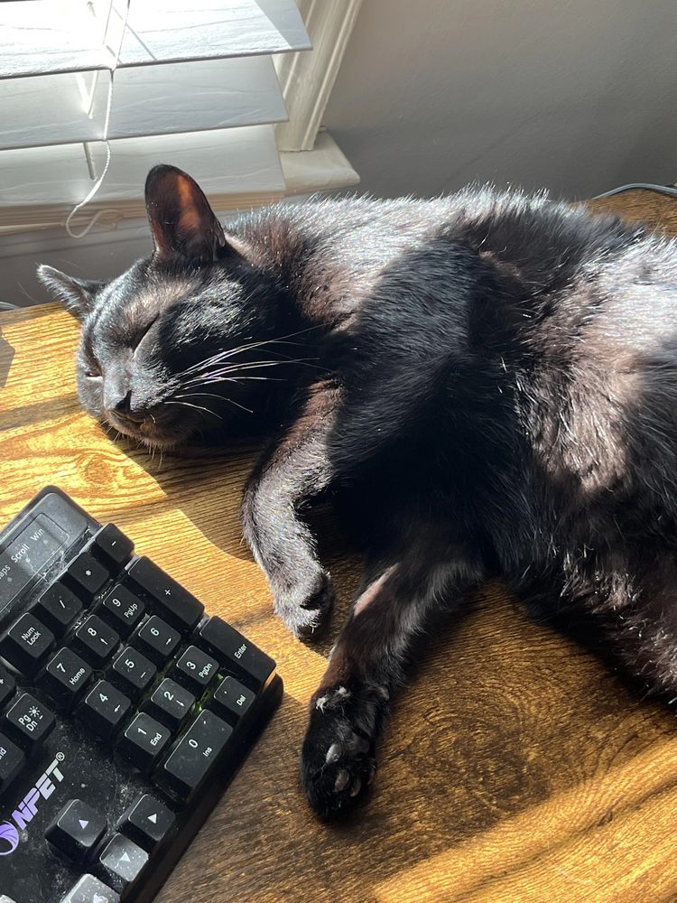 image-20230809200257-1