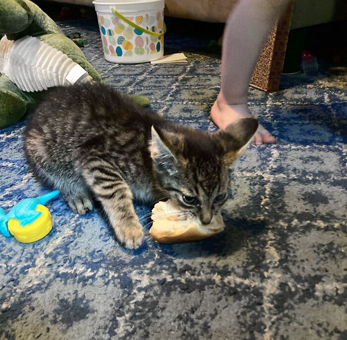 image-20230810133057-5