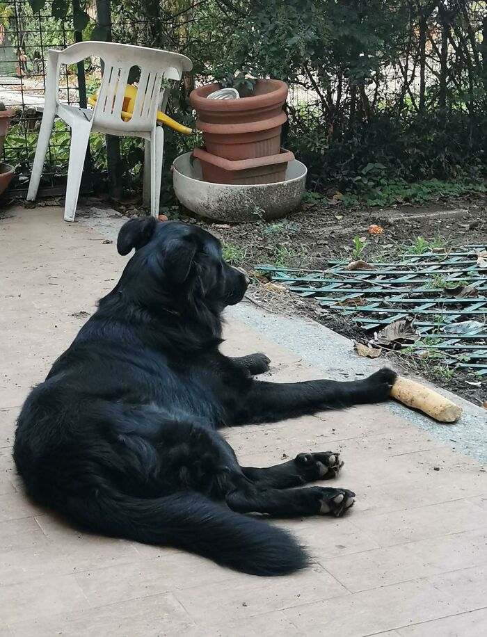 image-20230810133132-7