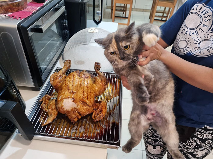 image-20230810133202-11