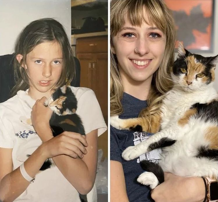 image-20230811154328-2