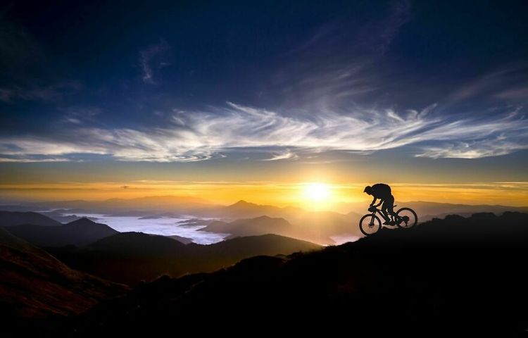 image-20230814115418-6