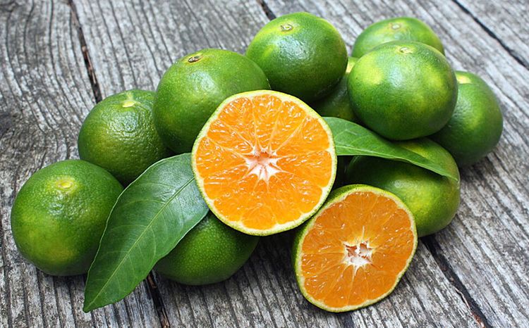 image-20230817180511-9