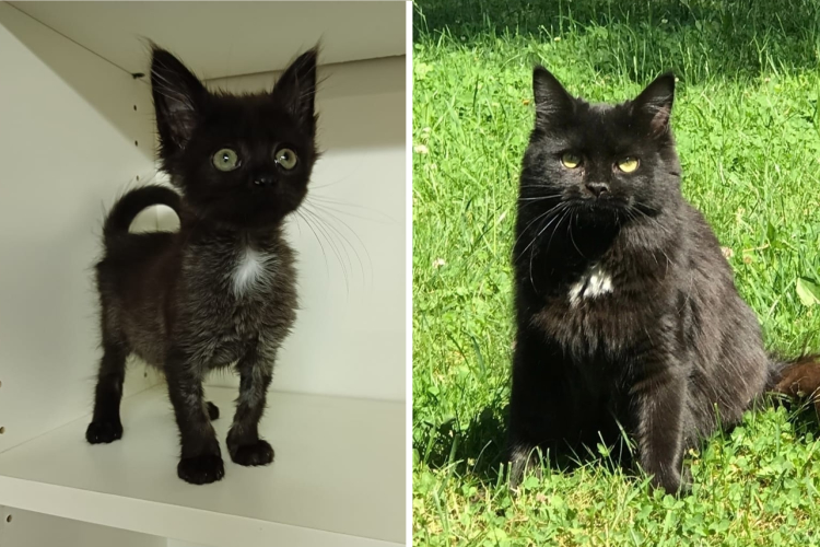 image-20230817194333-1