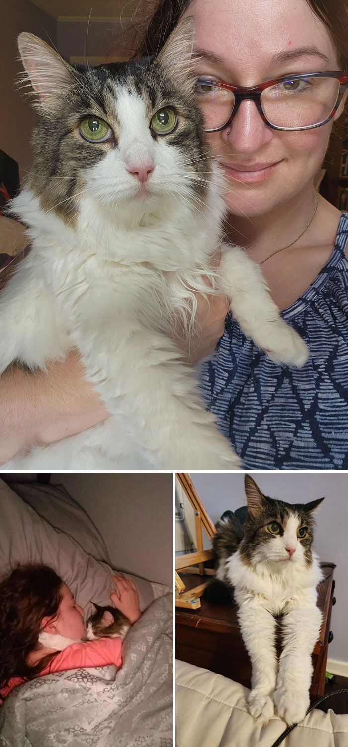 image-20230818130010-8