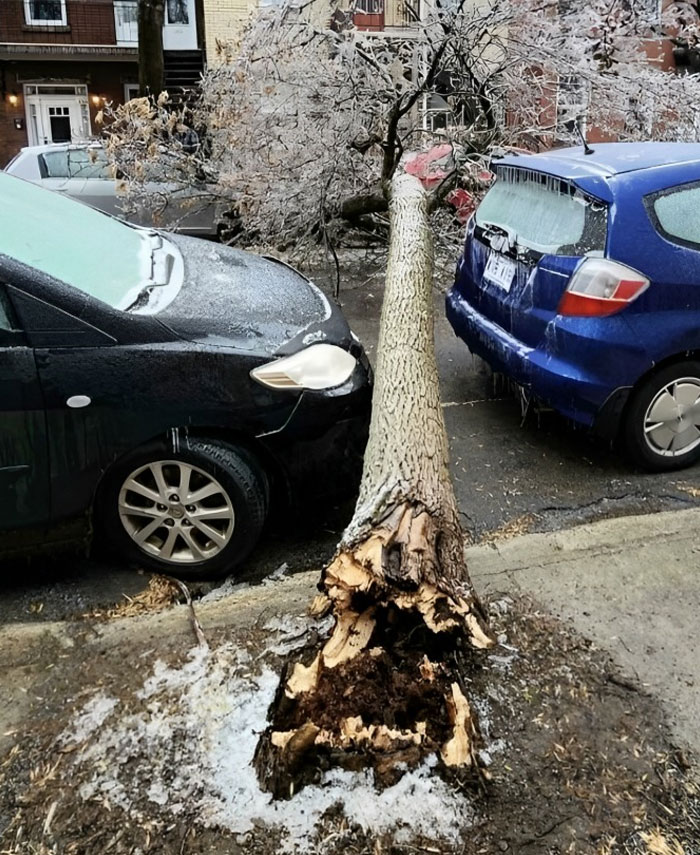 image-20230818130039-15