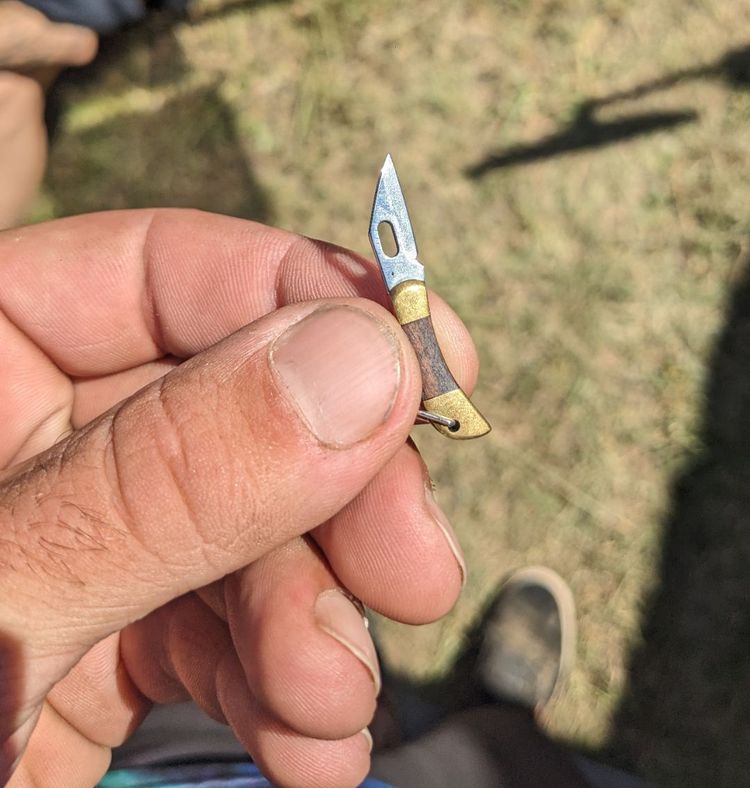 image-20230818164113-1