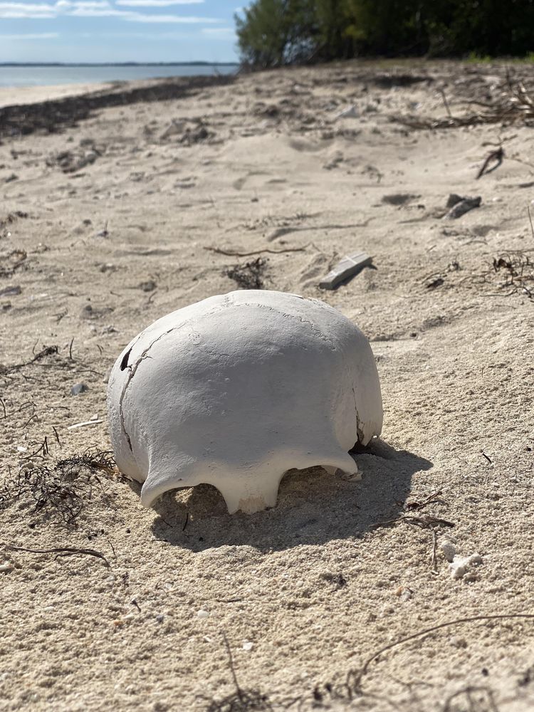 image-20230818164118-3