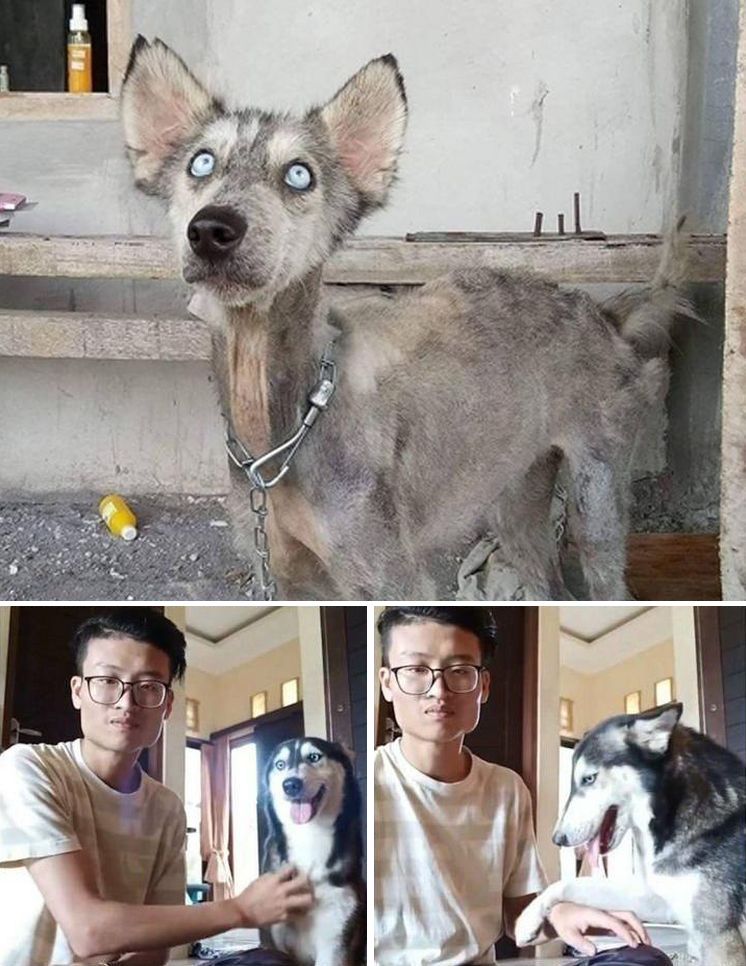 image-20230818164153-5