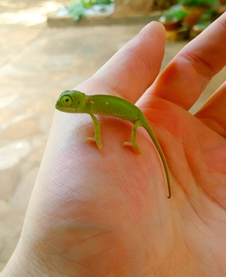 image-20230818164739-16