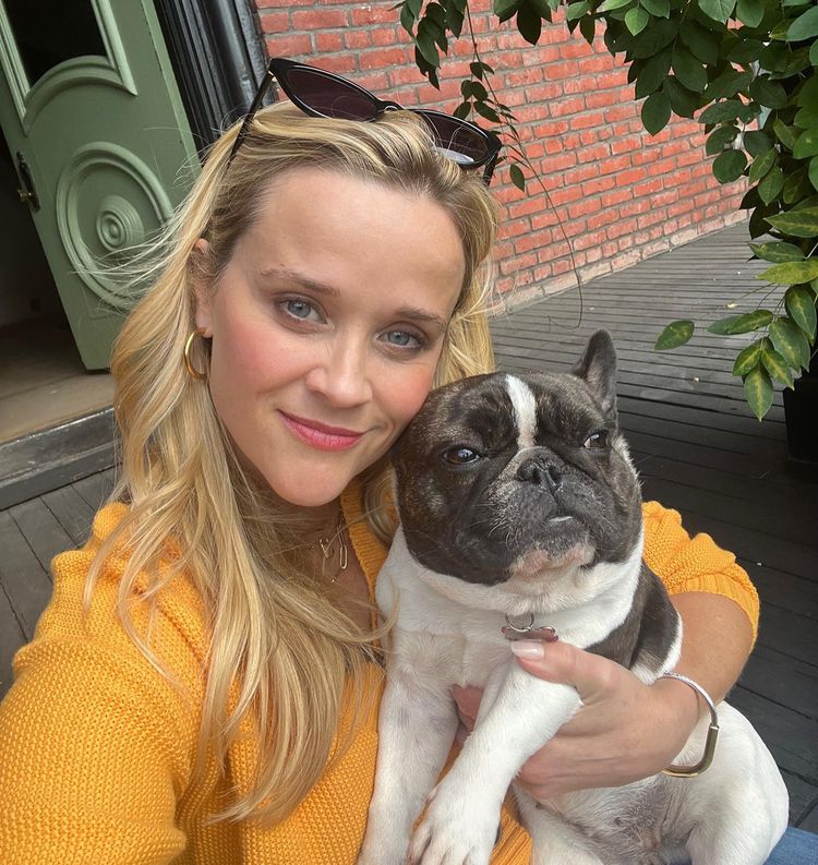 image-20230821231754-1