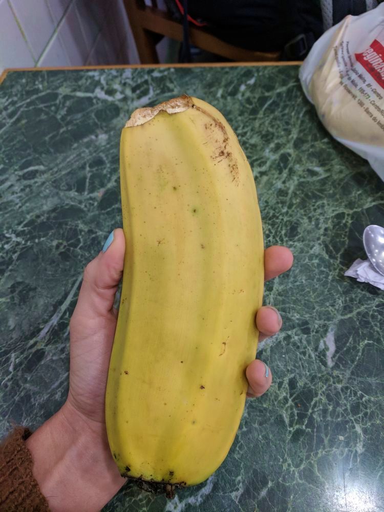 image-20230821234239-1