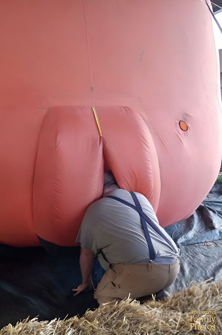 image-20230822124426-4