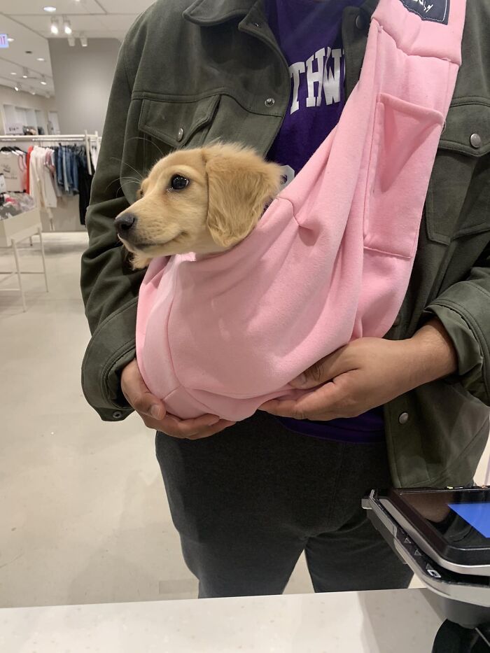 image-20230822174335-3