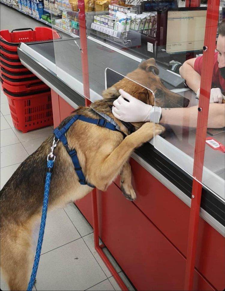 image-20230822174802-6