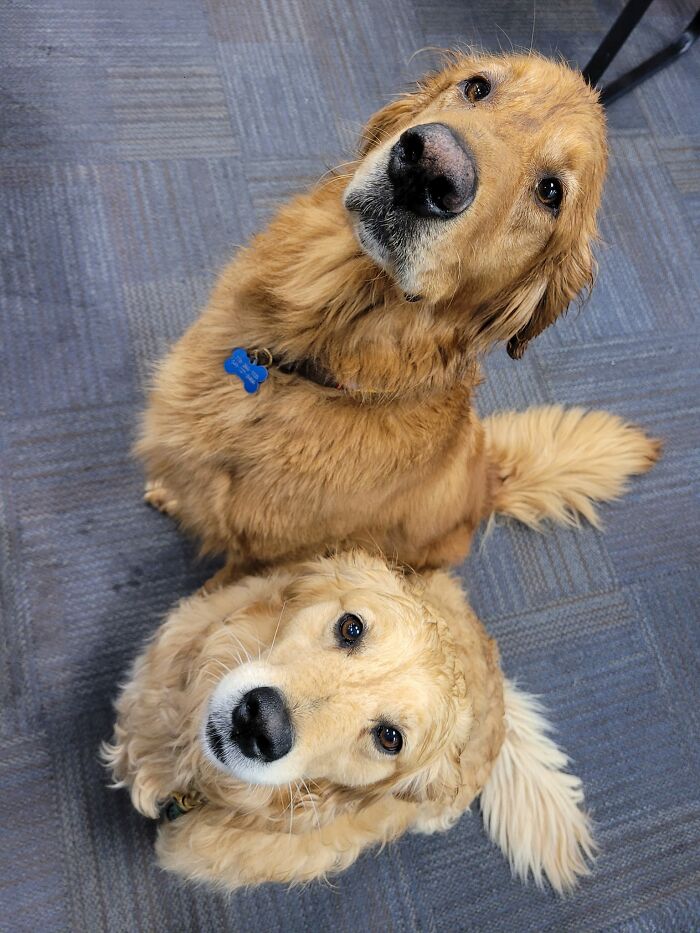 image-20230822174805-7