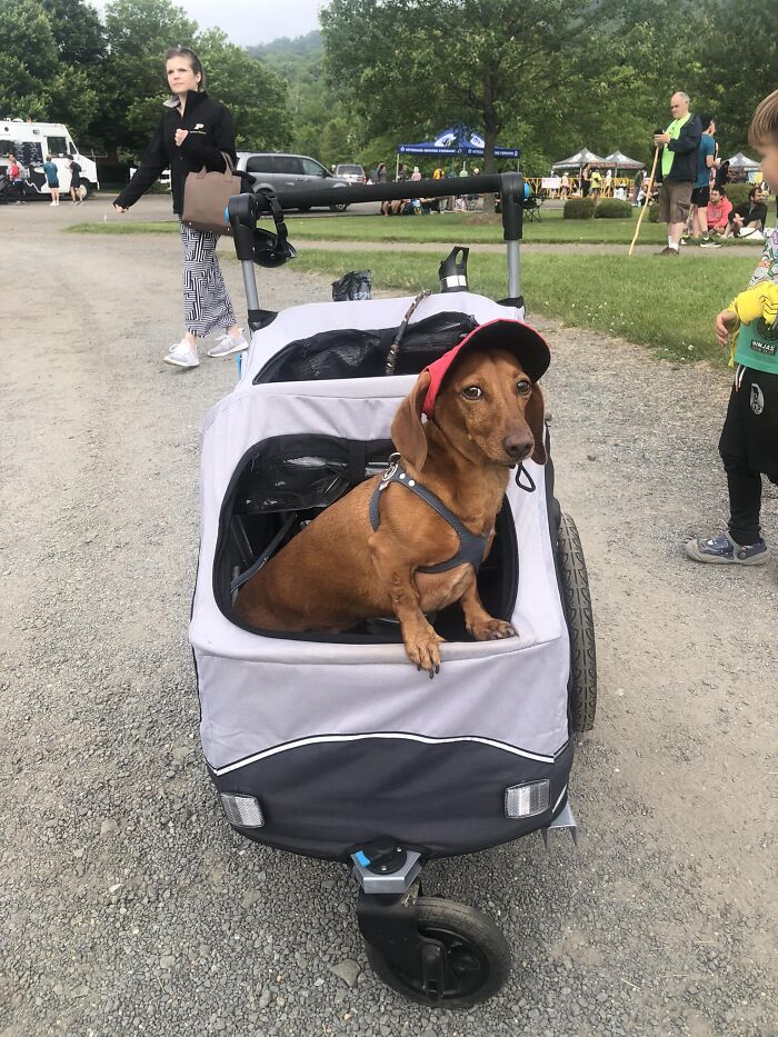 image-20230822174808-8