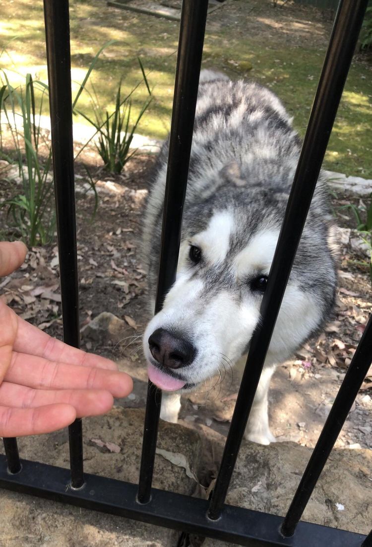 image-20230822174827-10