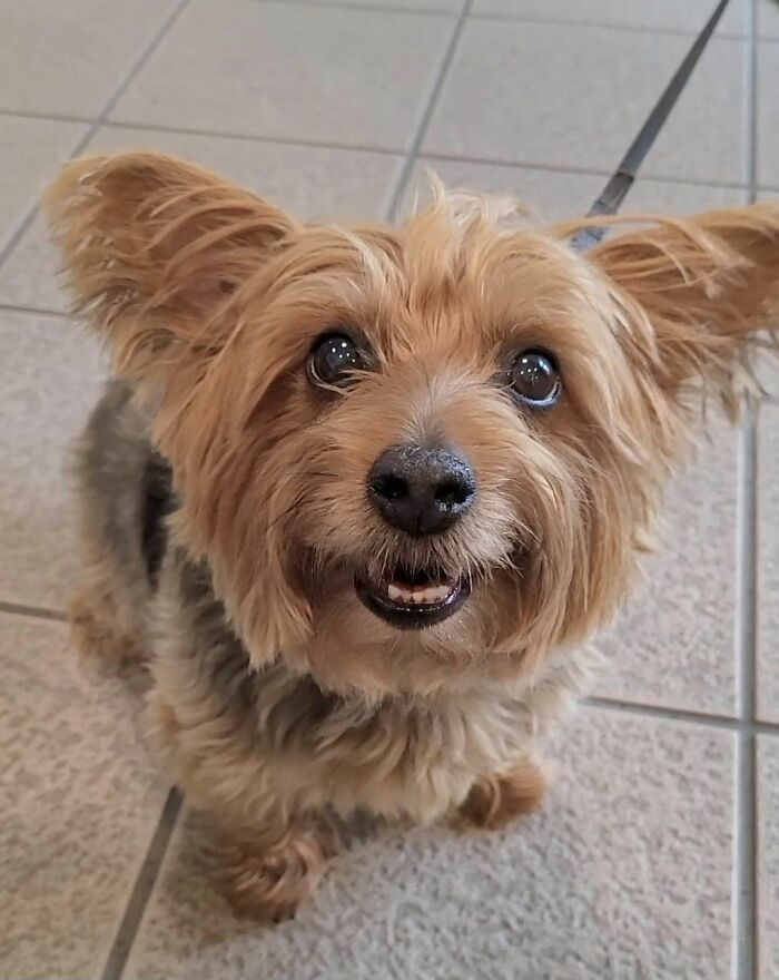 image-20230822174846-15