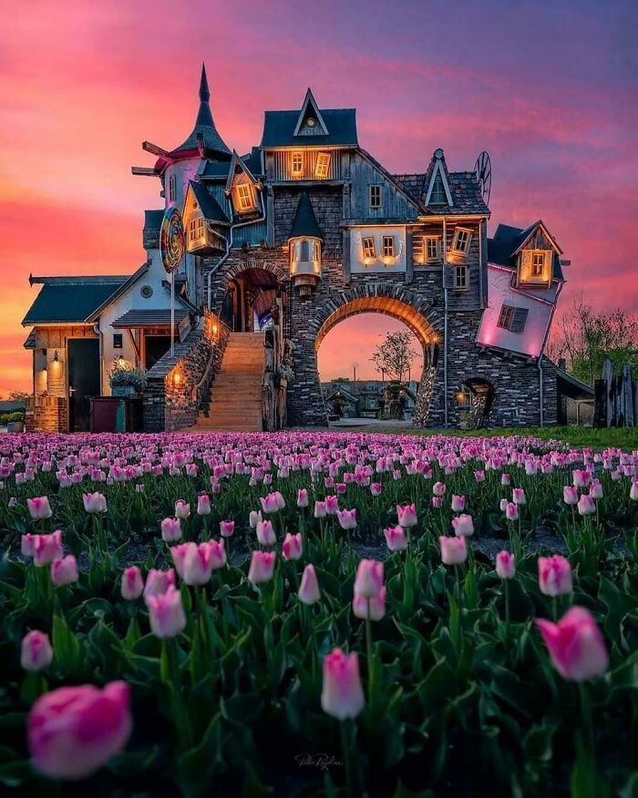 image-20230823133635-3