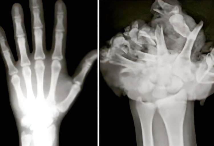 image-20230823162402-1