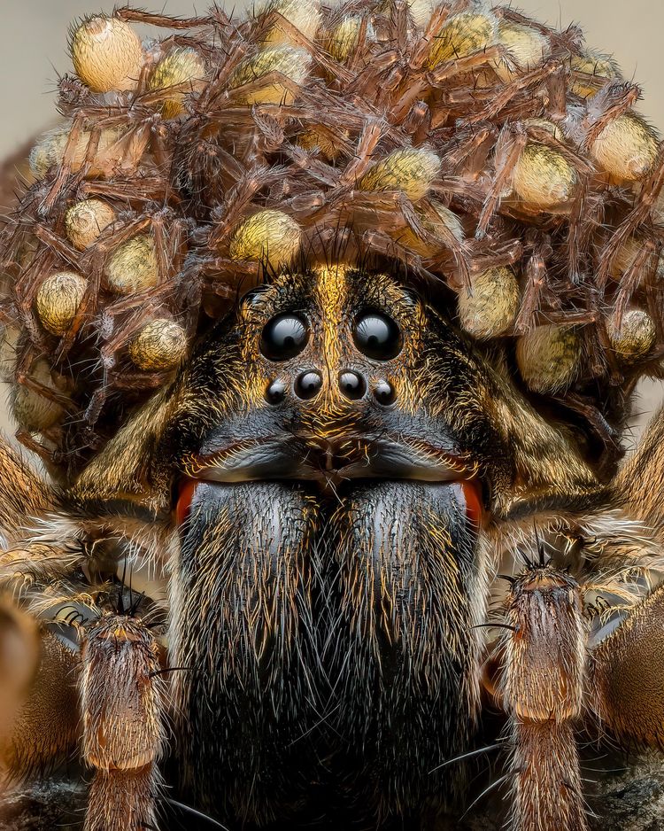 image-20230824145929-1