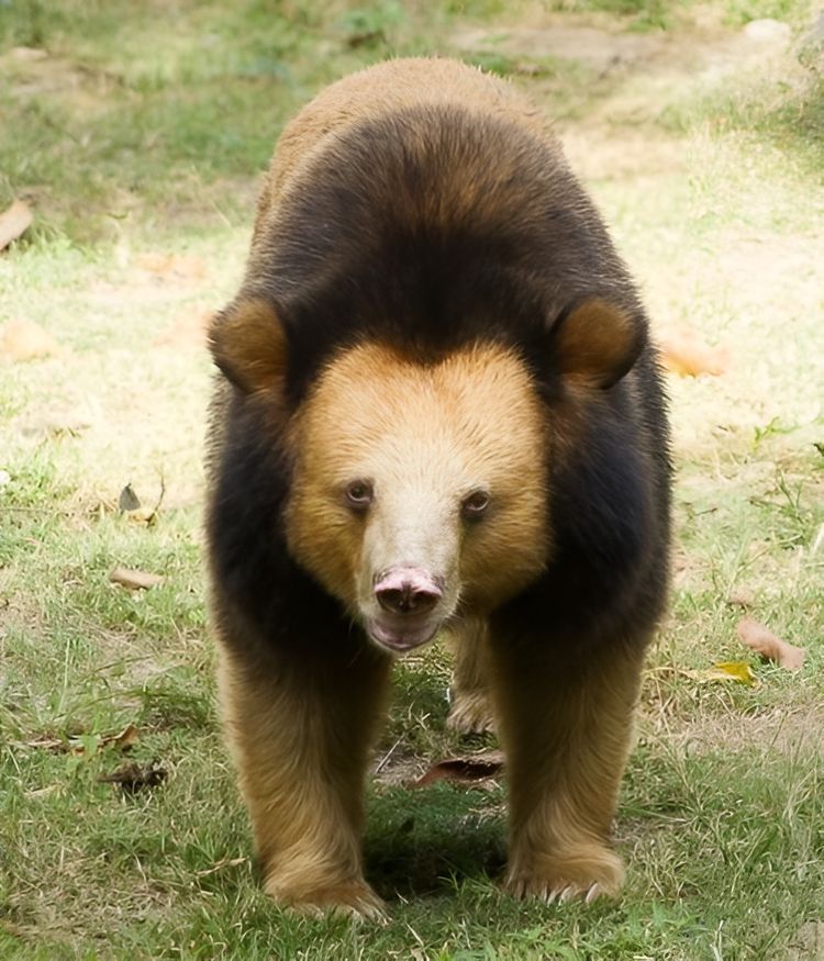 image-20230824150325-10