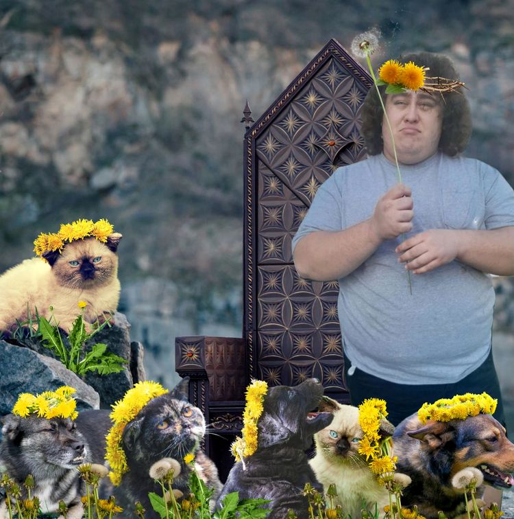 image-20230824162104-1