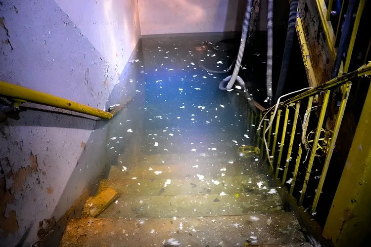 image-20230825120020-11